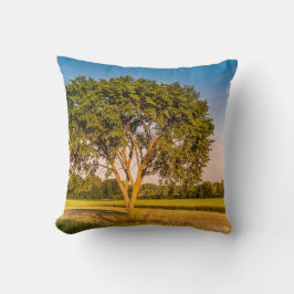 Almofada fotografia de uma árvore em uns campos