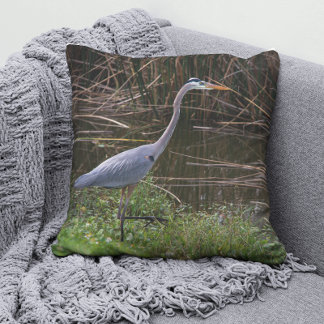 Almofada Fotografia do excelente Blue Heron Florida