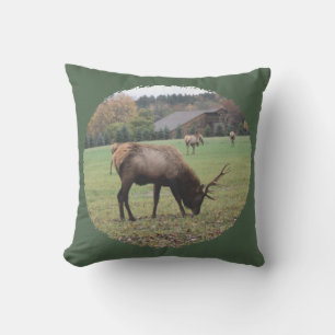 Almofada Fotografia Grande Male Elk Antlers Grazing Barn