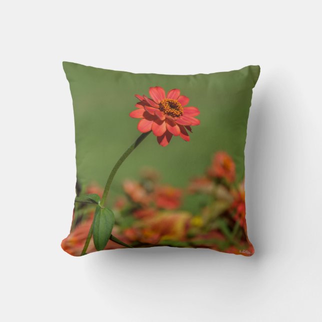 Almofada fotografia uma flor vermelha (Frente)