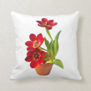 Almofada Fotografia vermelha madura Potted das tulipas