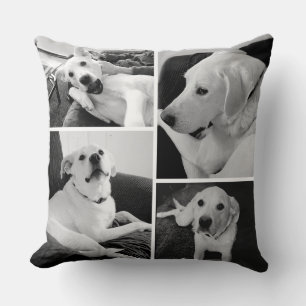 Almofada Fotos de Cachorro Branco e Preto, Bonitas e Engraç