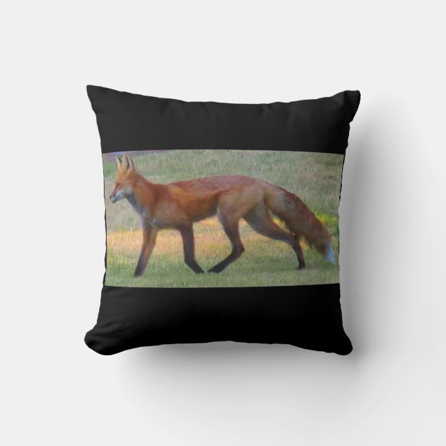 Almofada Fox (Frente)
