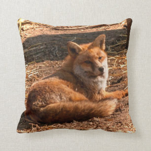 Almofada Fox Selvagem de Raposa Vermelha