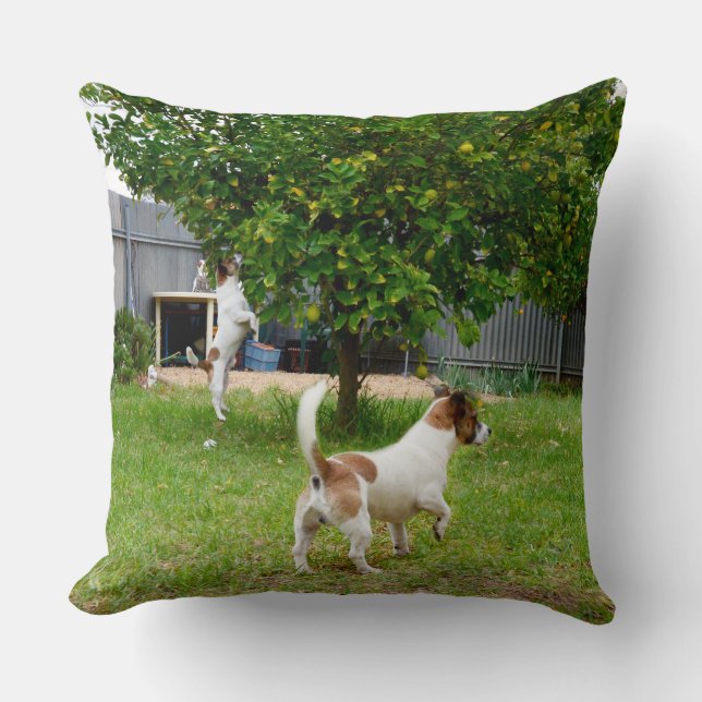 Almofada Fox Terrier Tocar Tempo Grande Corte (Frente)