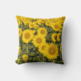 Almofada França, Provença, Valensole. Domínio