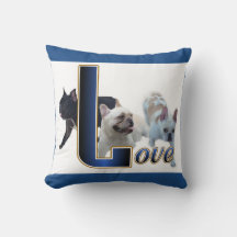 Francês Buldogue Love