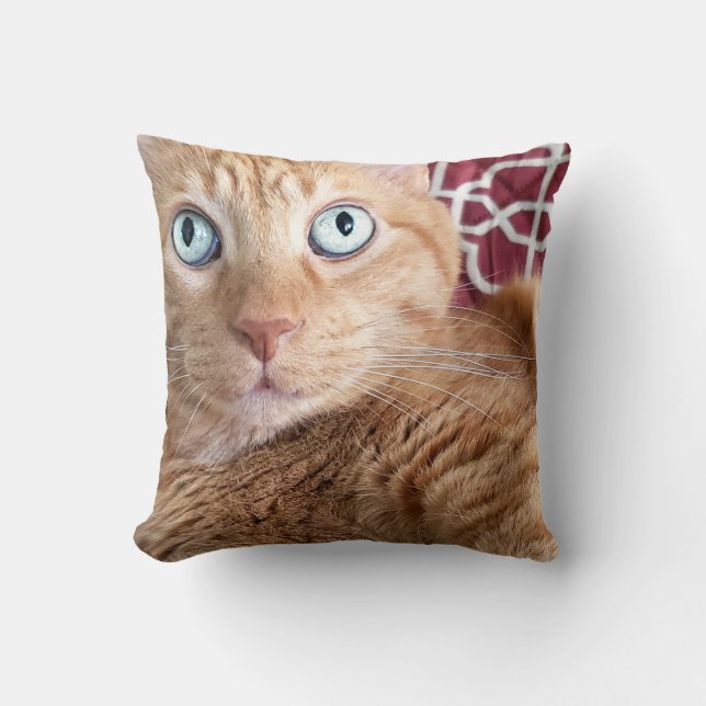 Almofada Frankie (Frente)