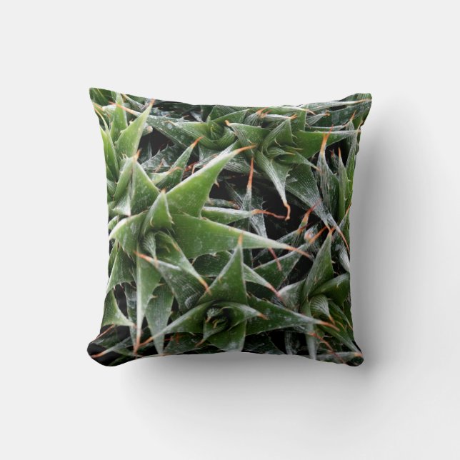 Almofada fresca (Frente)