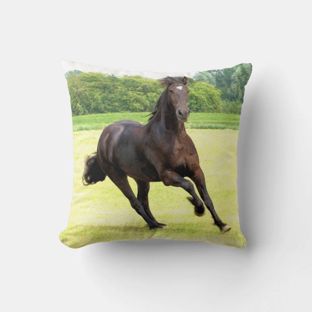 Almofada friesian-12.jpg (Frente)