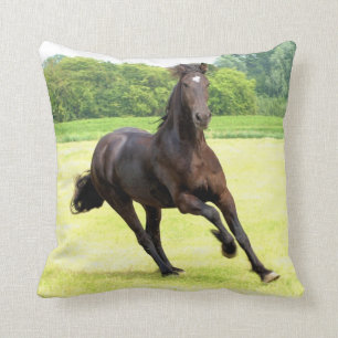 Almofada friesian-12.jpg
