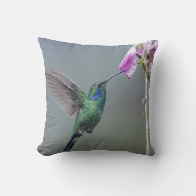 Almofada Fundo da Flor Rosa do Hummingbird (Frente)