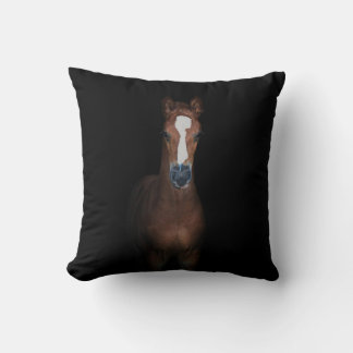 Almofada Fundo negro bonito de cavalo de galinha
