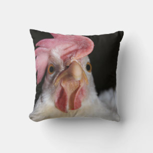 Almofada Galinha