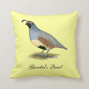 Almofada Gambel's Desert Quail