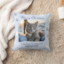 Gata Mãe Azul Gelo Foto de Pet Natal