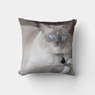 Almofada Gata Ragdoll Fêmea