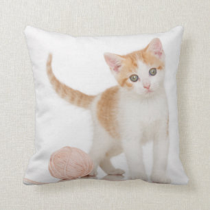 Almofada Gatinho ao lado da bola da corda