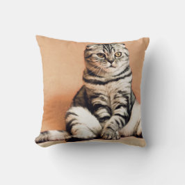 Almofada Gatinho Bonito Desenterrado