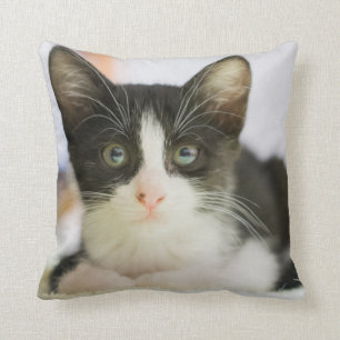 Almofada Gatinho branco e preto doce