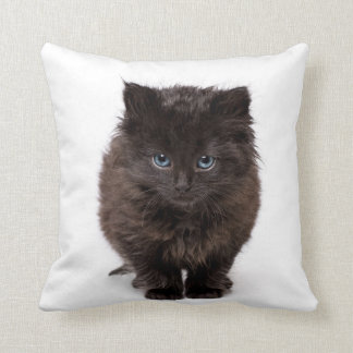 Almofada Gatinho de bocejo bonito em um travesseiro
