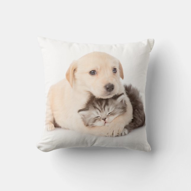 Almofada gatinho dorme nas mãos do cachorro (Frente)