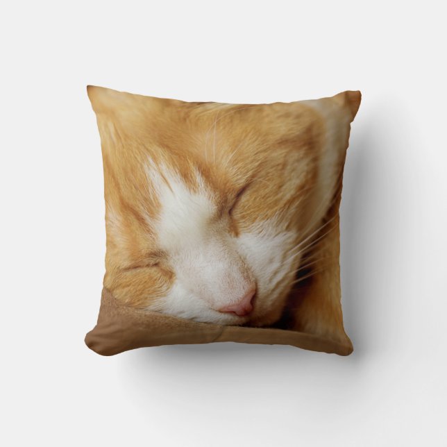 Almofada Gatinho Dormindo (Frente)