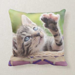 Almofada Gatinho em uma cesta