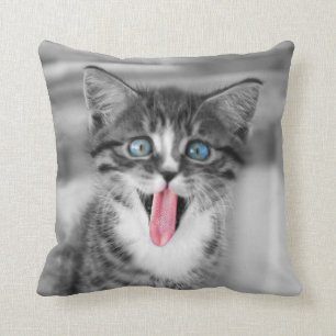 Almofada Gatinho engraçado