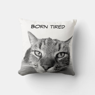 Almofada Gatinho engraçado
