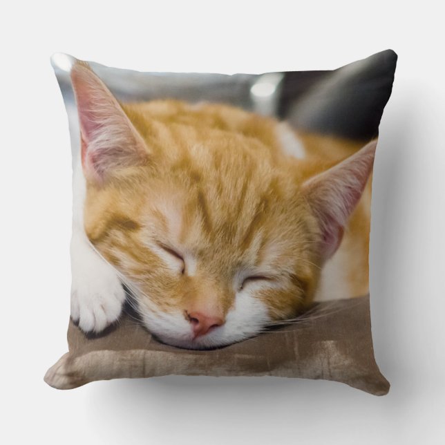 Almofada Gatinho Gato (Frente)