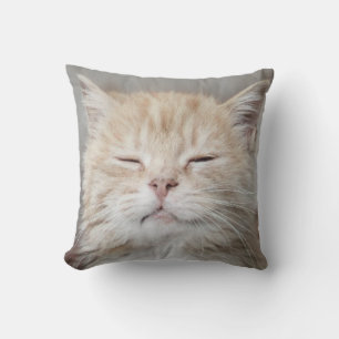 Almofada Gatinho Gelado Dormindo Rosto De Gato