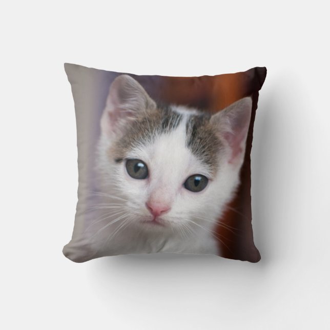 Almofada Gatinho manchado branco (Frente)