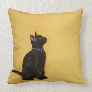 Almofada Gatinho preto no colar