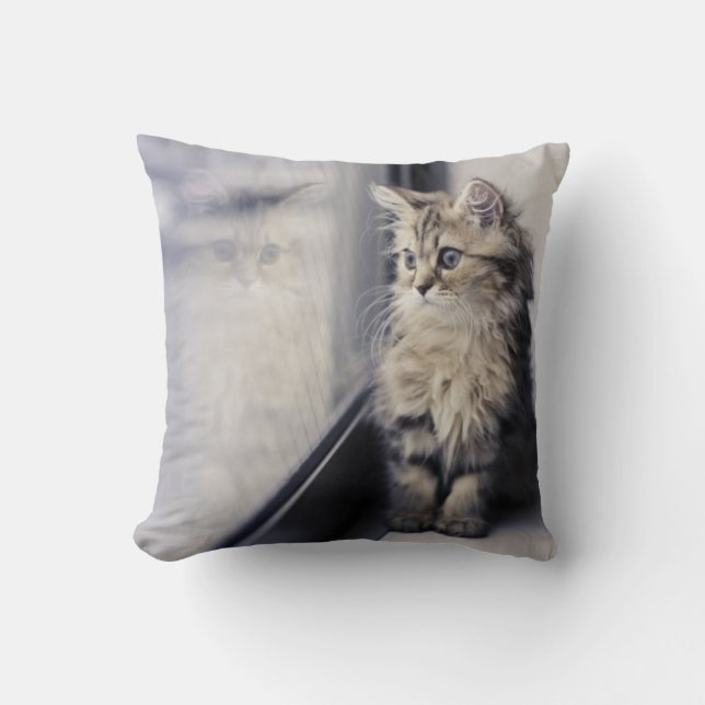 Almofada Gatinho que olha para fora a janela (Frente)