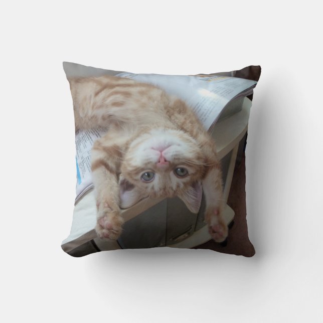 Almofada Gatinho que relaxa (Frente)