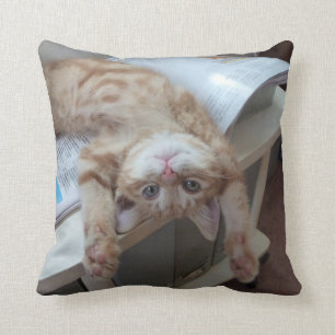 Almofada Gatinho que relaxa