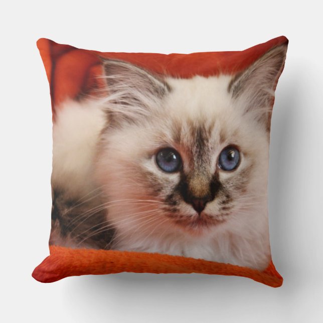 Almofada Gatinho sagrado de Birman (Frente)