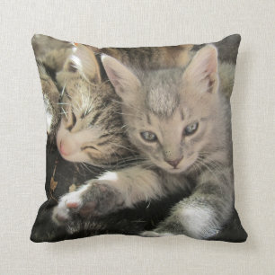Almofada Gatinhos bonitos do afago