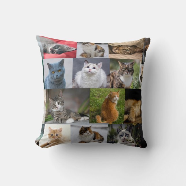 Almofada Gatinhos em todos os lugares (Frente)