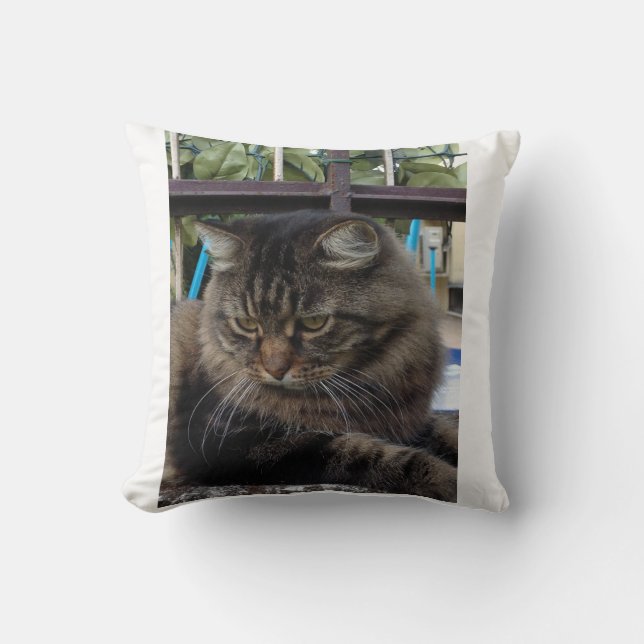 Almofada Gato (Frente)