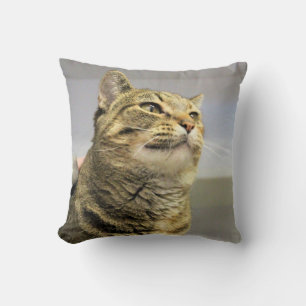 Almofada Gato