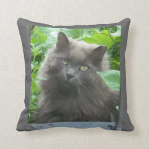 Almofada Gato Azul Russo de Cabelo Longo