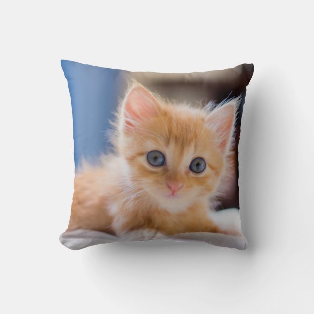 Almofada Gato bonito com olhos azuis (Frente)