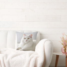 Almofada Gato Branco Colocando No Carpete Branco