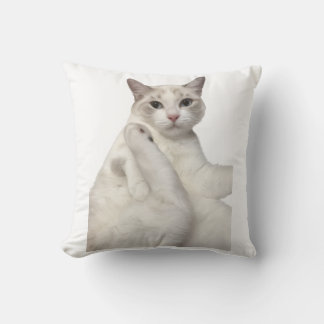 Almofada Gato Branco Fofo Limpando a Perna Divertido Amante