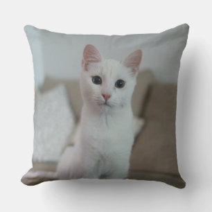 Almofada Gato branco   Zazzle_Growth.