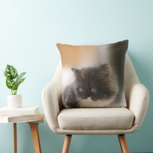 Almofada Gato Cinto