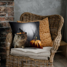 Gato De Bruxas De Halloween Com Travesseiro decora