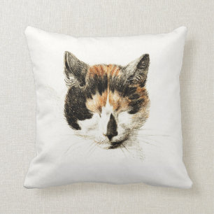 Almofada Gato de chita do sono